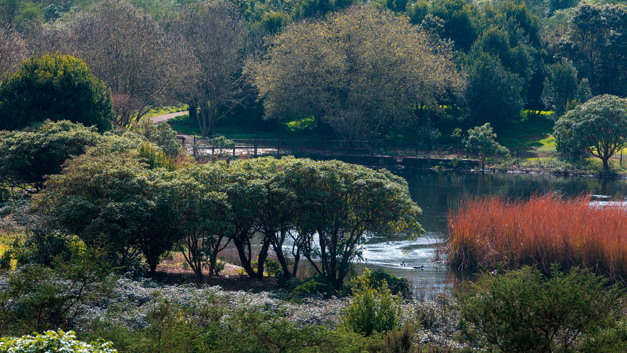 Laguna de Valleseco, in Gran Canaria