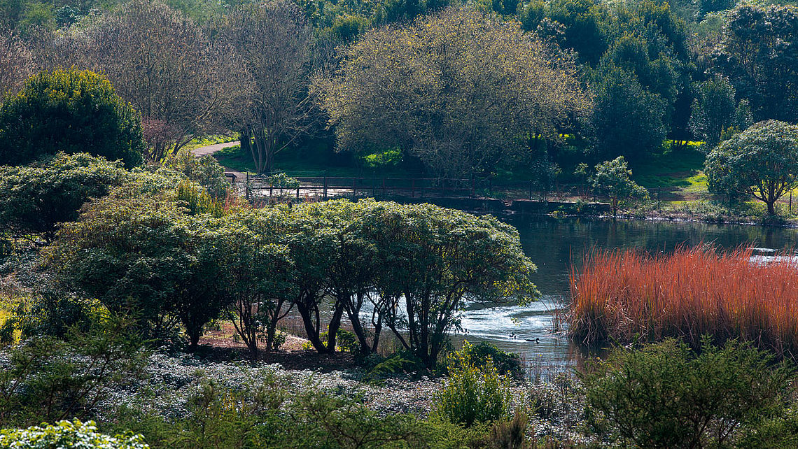 Laguna de Valleseco, Gran Canaria