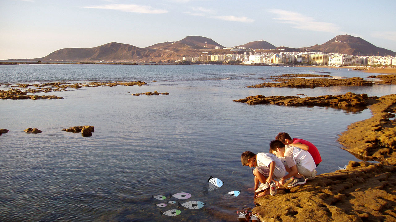 Las Canteras Beach in Gran Canaria Las Canteras Beach in Gran Canaria
