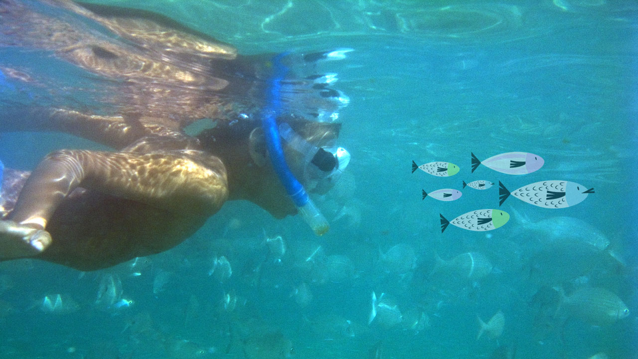 Un niño bucea en la Playa de Las Canteras en Gran Canaria, junto a un banco de peces