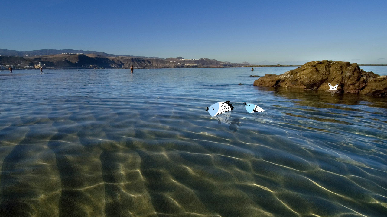 Playa de Las Canteras en Gran Canaria con marea baja