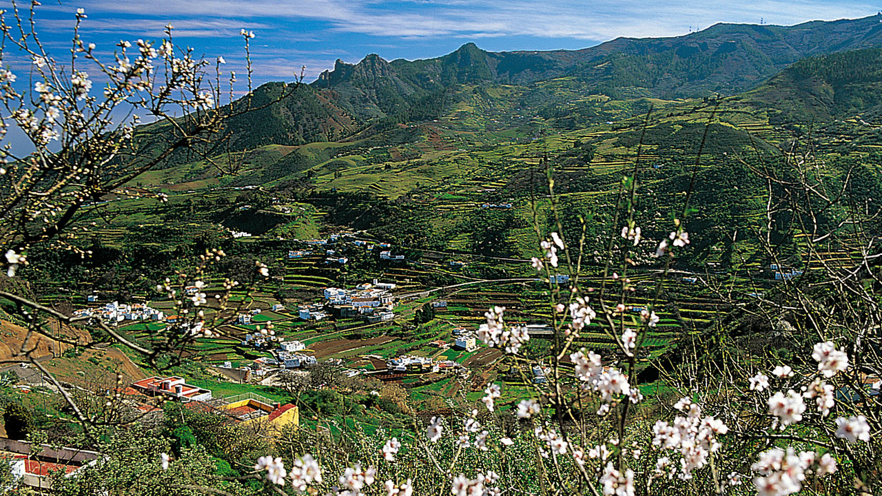 Mandelblüte in der Landschaft von Las Lagunetas