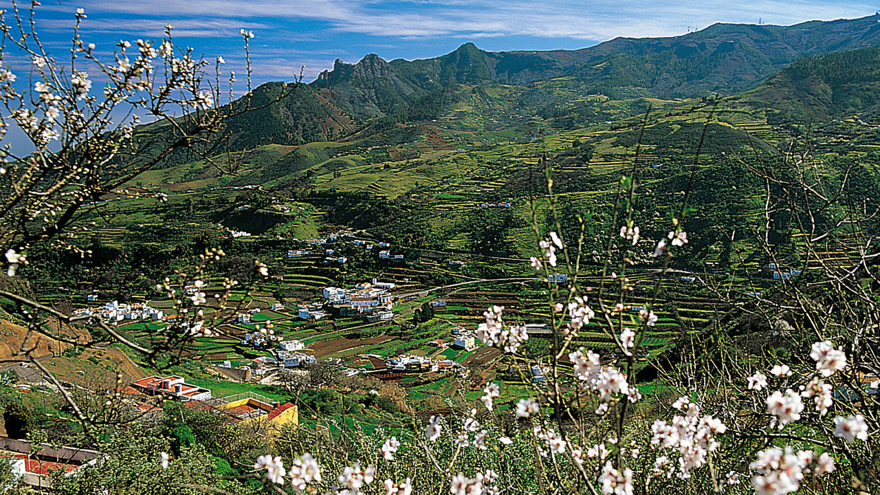 Lagunetas view with almond trees in bloom