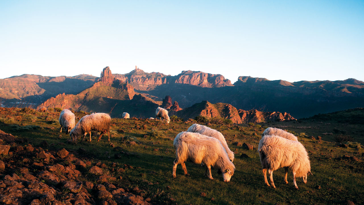 Roque Bentayga and Roque Nublo