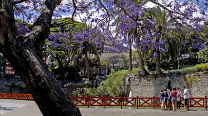 Parque Doramas, en la ciudad de Las Palmas de Gran Canaria Parque Doramas, en la ciudad de Las Palmas de Gran Canaria