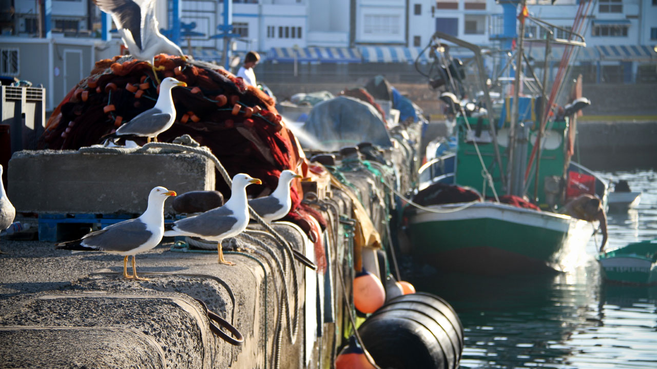 Puerto de Las Nieves en Agaete, Gran Canaria