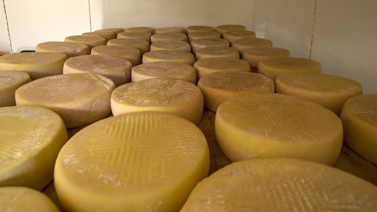 Cheeses from Santa María de Guía. Gran Canaria