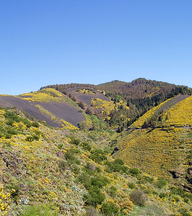 Gran Canaria landscape