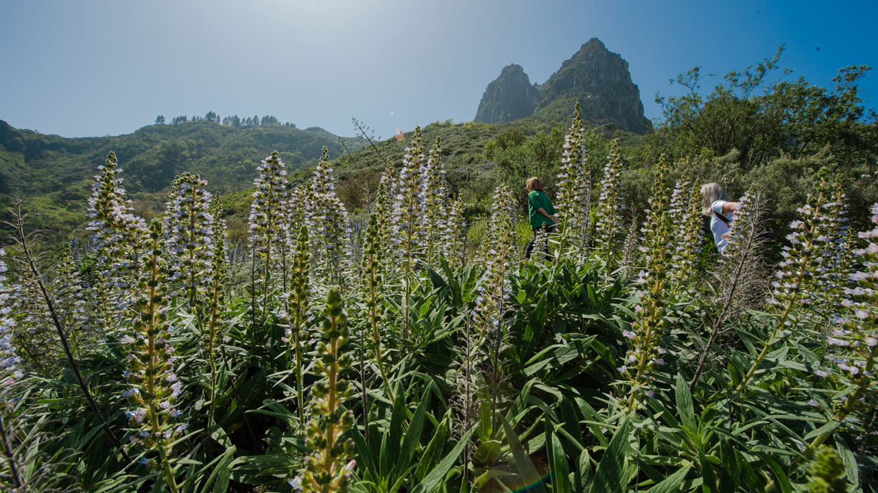 Roque Grande, Tenteniguada. Valsequillo de Gran Canaria