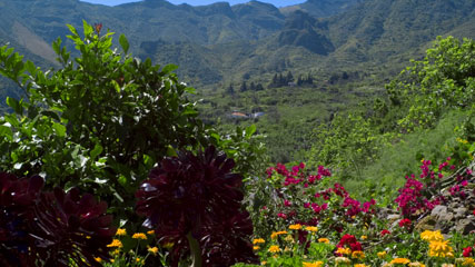 Tenteniguada, Valsequillo de Gran Canaria