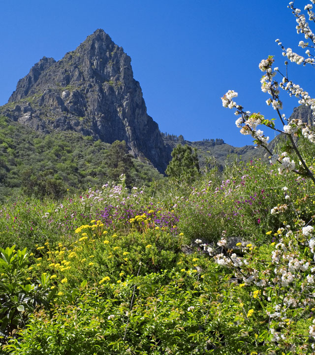 Tenteniguada Landscape, Valsequillo, Gran Canaria