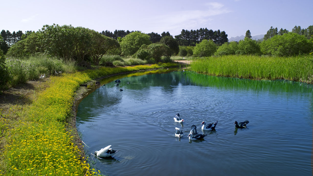 Laguna de Valleseco