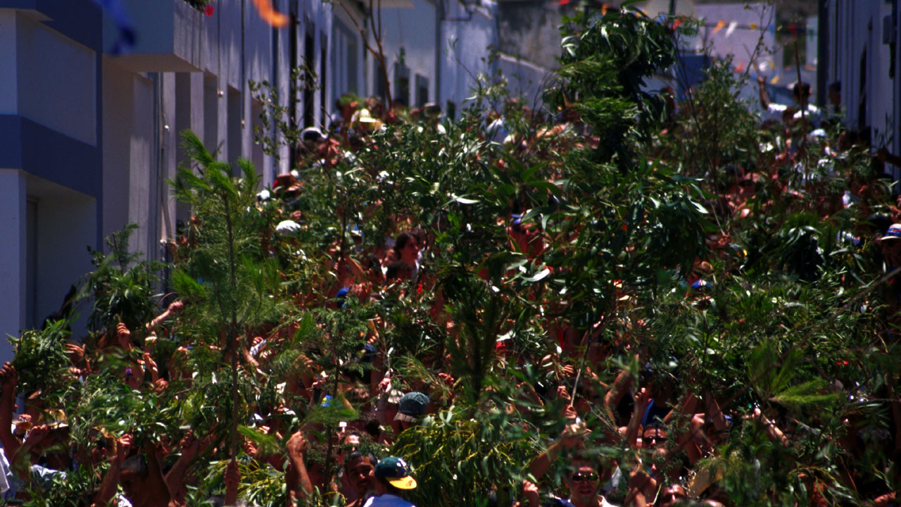 Celebración de La Rama en Agaete, Gran Canaria