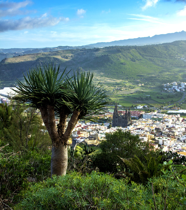 Panoramaansicht von Arucas