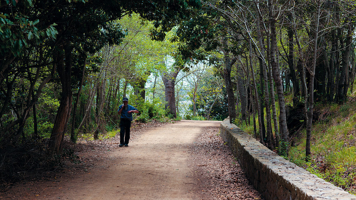 Finca de Osorio in Teror