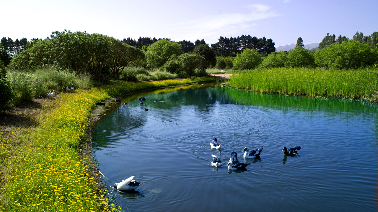 La Laguna de Valleseco