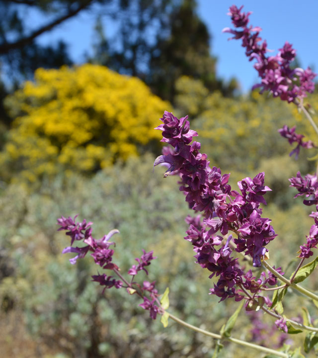 Gran Canaria landscape