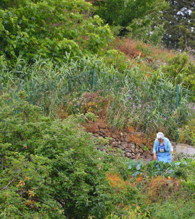 Señora paseando por el paisaje de Valleseco