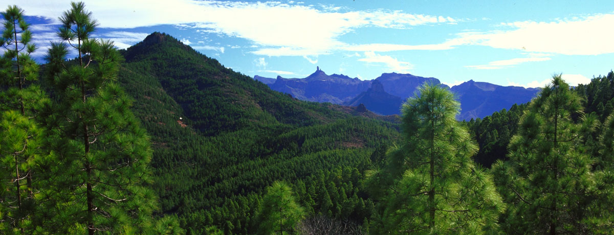 Gran Canaria