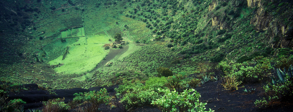 Espacio - The Gran Canaria Tourist