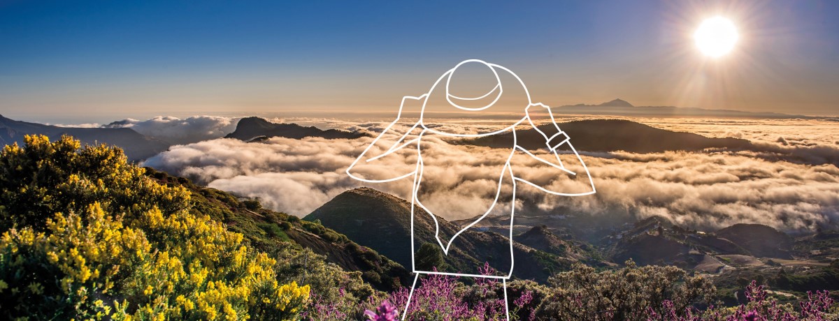 Baño de Bosque en Medianías, Gran Canaria