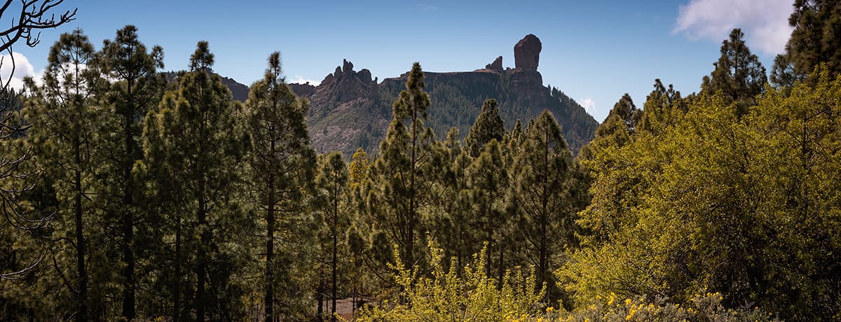 Roque Nublo