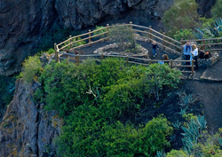 Mirador Bandama