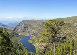 Mirador de Inagua (Cruz de San Antonio)