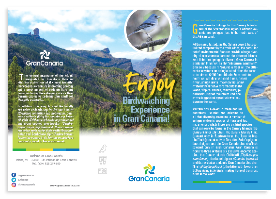 Birdwatching Experience in Gran Canaria
