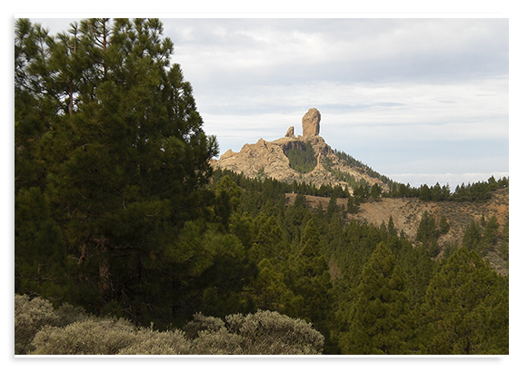 Ruta Roque Nublo