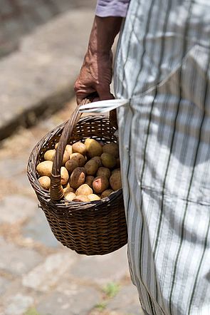 Cesta de papas locales