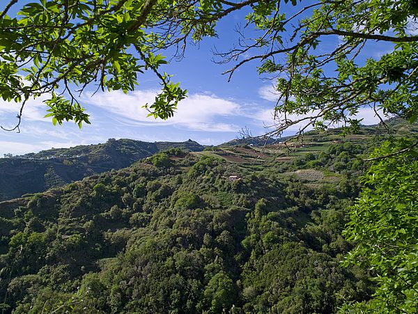 Parque Natural de Doramas