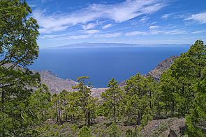 Tamadaba Natural Park, Gran Canaria
