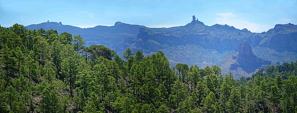 Pico de La Bandera