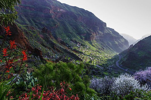 Barranco de Guayadeque