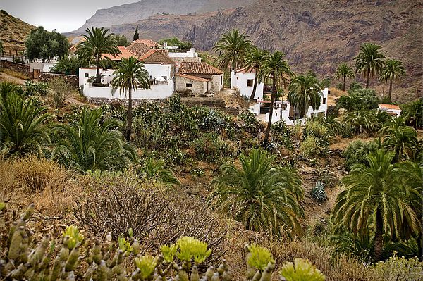 La Fortaleza
