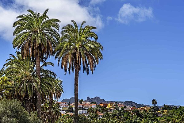 Parque Finca El Galeón