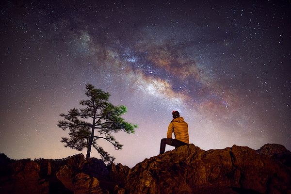 La Vía Láctea sobre el Pinar de los Pilancones en San Bartolomé de Tirajana, Gran Canaria.