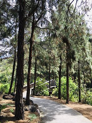 Jardín Botánico Canario &quot;Viera y Clavijo&quot;