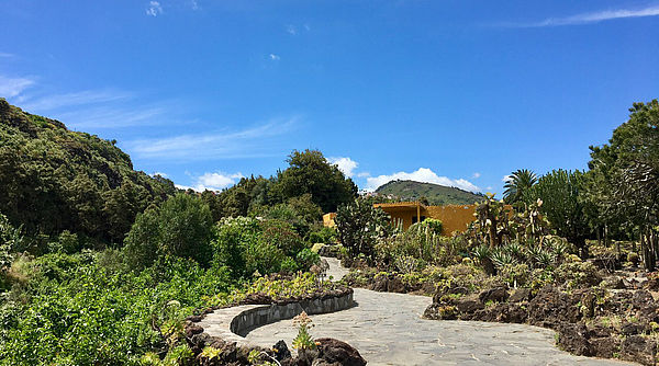 Kanaryjski Ogród Botaniczny „Viera y Clavijo”