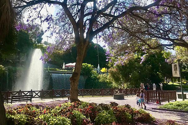 Parque Doramas en Las Palmas de Gran Canaria
