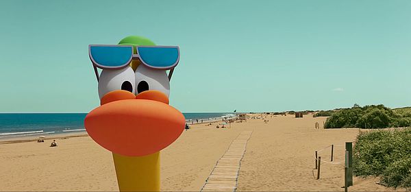 Pato en la playa de Maspalomas en Gran Canaria