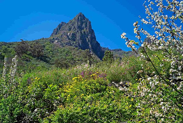 Valsequillo Gran Canaria