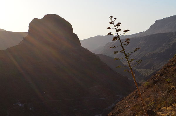 Gran Canaria's hinterland