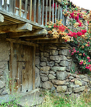 Casas de Almácigo