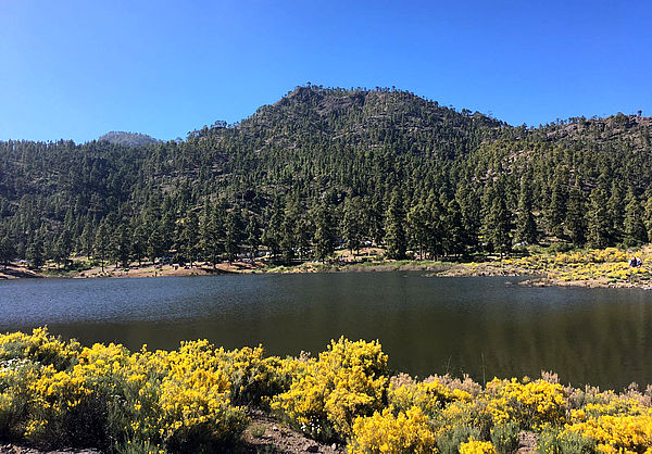 Der Stausee Presa de las Niñas