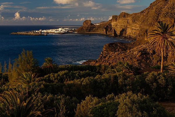 Guayedra y Sardina del Norte