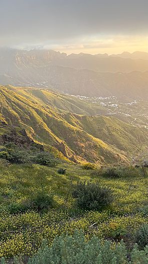 Mirador Degollada de Las Palomas, Gran Canaria