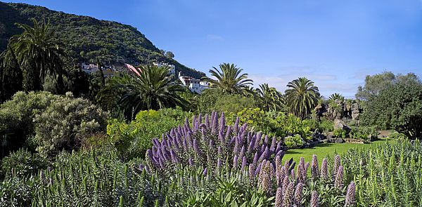 Jardín Botánico Canario Viera y Clavijo