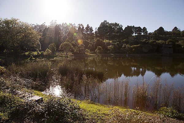 La Laguna de Valleseco